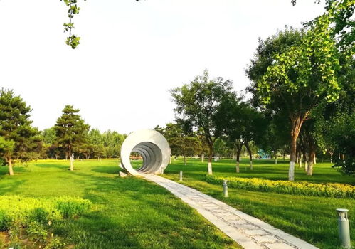 北京竟有这样一个 精品公园 原始生态,人少景美还不花钱