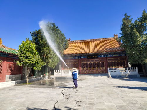 2021欢迎访问 园林喷药车出租针对各种树木 实业集团