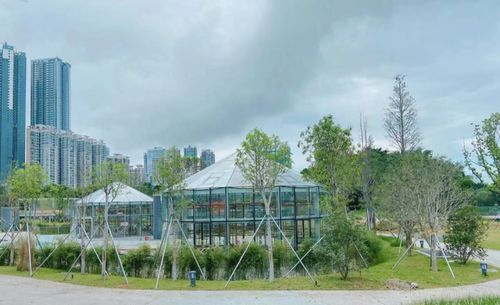 国内首座 亭台 浅滩 步道 罗湖这一新晋打卡点竟还有隐藏功能
