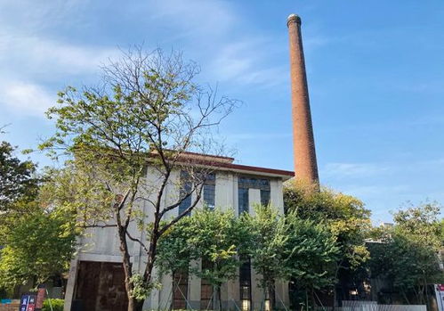 岭南股份助力鳒鱼洲焕新颜