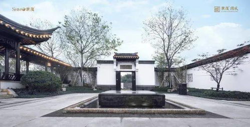 拿什麽拯救你,中国的文化语境 语境