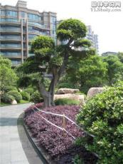 广东华美霖园林实业