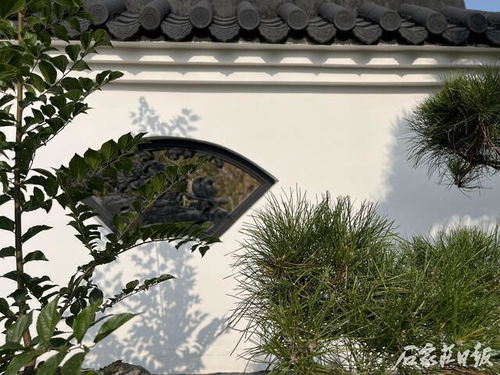裕东公园建成开放 昔日违建彻底拆除 精品游园芳容初显