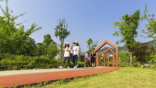 最美 无废 南川区滨河公园喜提新称号
