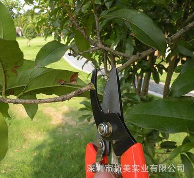 德国圣德保罗sd-311 15件园林工具套装