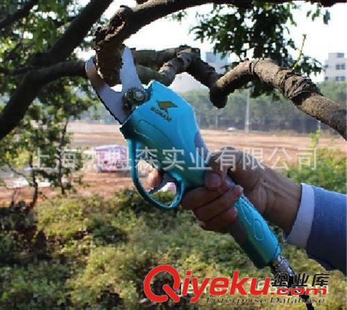电动园艺剪刀 电动剪刀、果树电动修枝剪批发、园林园艺修枝剪批发、树枝修剪机图片|电动园艺剪刀 电动剪刀、果树电动修枝剪批发、园林园艺修枝剪批发、树枝修剪机产品图片由上海杰魁森实业公司生产提供-