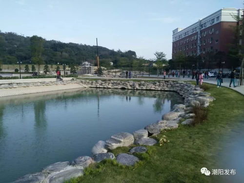 为了乡村振兴,这些企业使出浑身解数