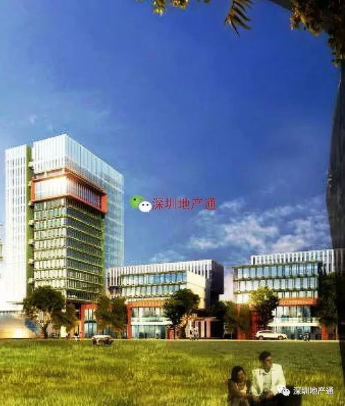 保税区旧厂重建后,人就像在公园里办公