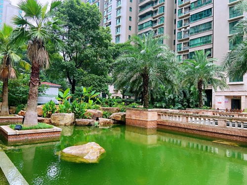 新品加推 持续热领 不只是产品的进阶,更是生活的精研