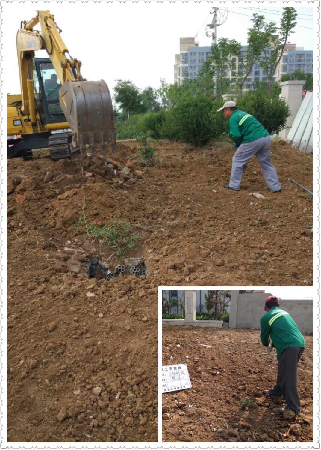 青岛高新城维实业园林绿化公司2017年6月份第一.