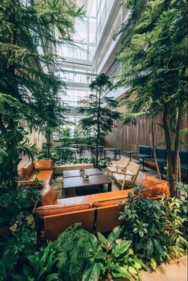 安泰实业官宣--上水咖啡品牌正式成立!