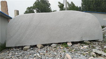 园林实业 实惠景观石的理想采购地