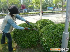 新余园林绿化企业 园林实业的绿色发展之路