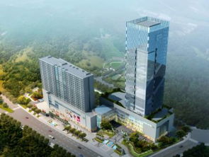 四川蓝图 未来五年打造最美农业主题公园、国际康养城、文化特色街区与园林实业