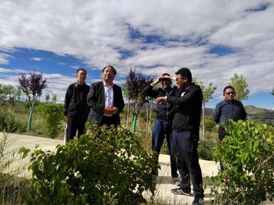 我院携手日喀则市云鑫生态园林绿化有限责任公司与西藏云旺实业签订共建产教融合实训基地协议