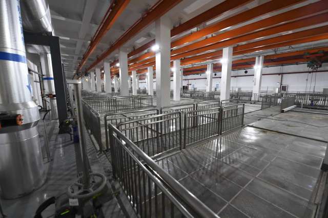 绿茵之下，匠心筑梦 一座公园的园林实业密码