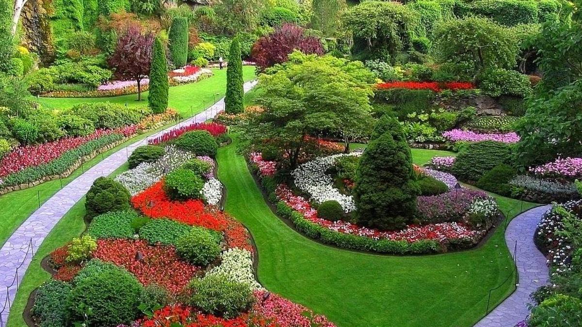 园林绿化与病虫害防治的问题和对策——以广东田野风实业为例